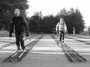 two members of the public practice ther skiing technique