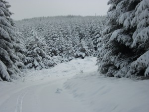 Snowy conditions in the clash