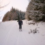 Man skiing down wooded hill